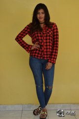 Hebah Patel at Nanna Nenu Naa Boyfriends Movie Success Meet